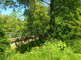 Blaustrümpflerweg
