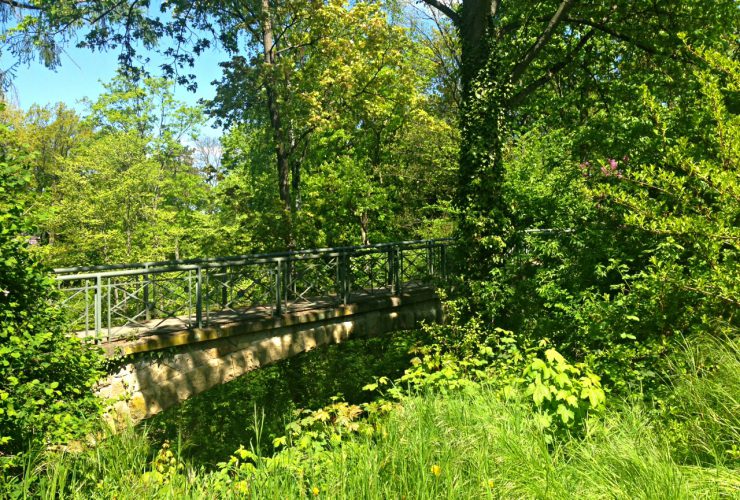 Blaustrümpflerweg