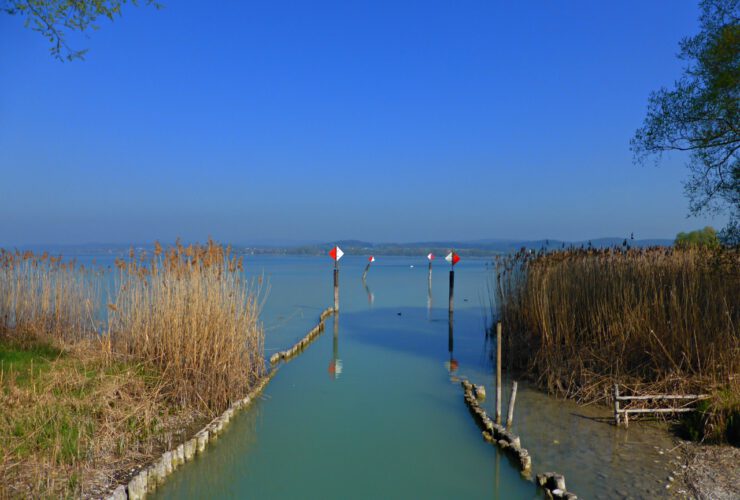 Reichenau